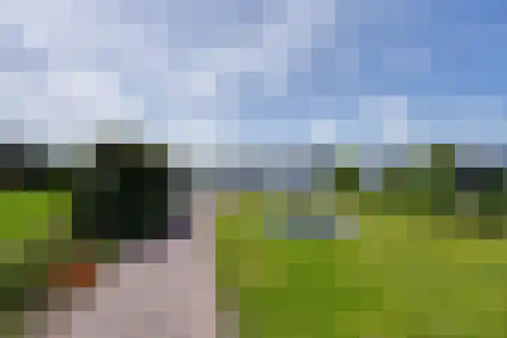 De Jonge Prinses 15 Zaandam thumbnail 5