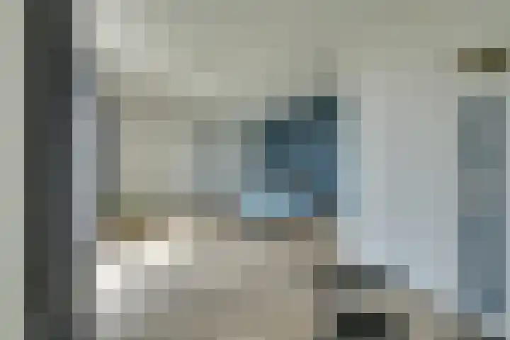 De Jonge Prinses 15 Zaandam thumbnail 50