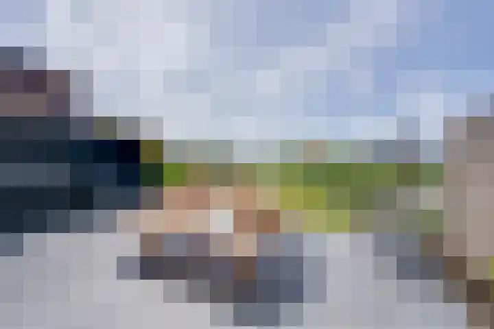 De Jonge Prinses 15 Zaandam thumbnail 55