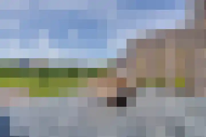 De Jonge Prinses 15 Zaandam thumbnail 56