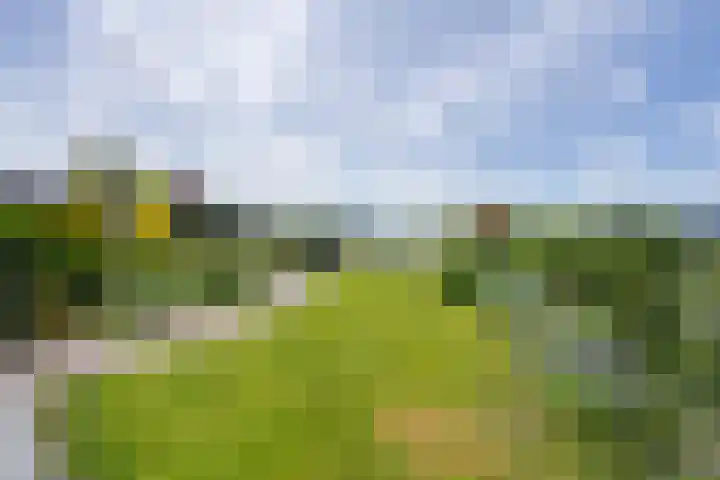 De Jonge Prinses 15 Zaandam thumbnail 58