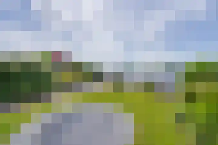 De Jonge Prinses 15 Zaandam thumbnail 60