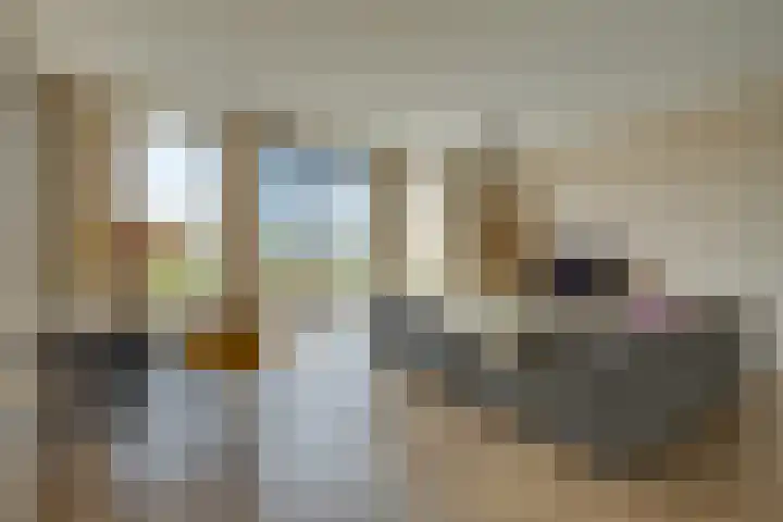 De Jonge Prinses 15 Zaandam thumbnail 8