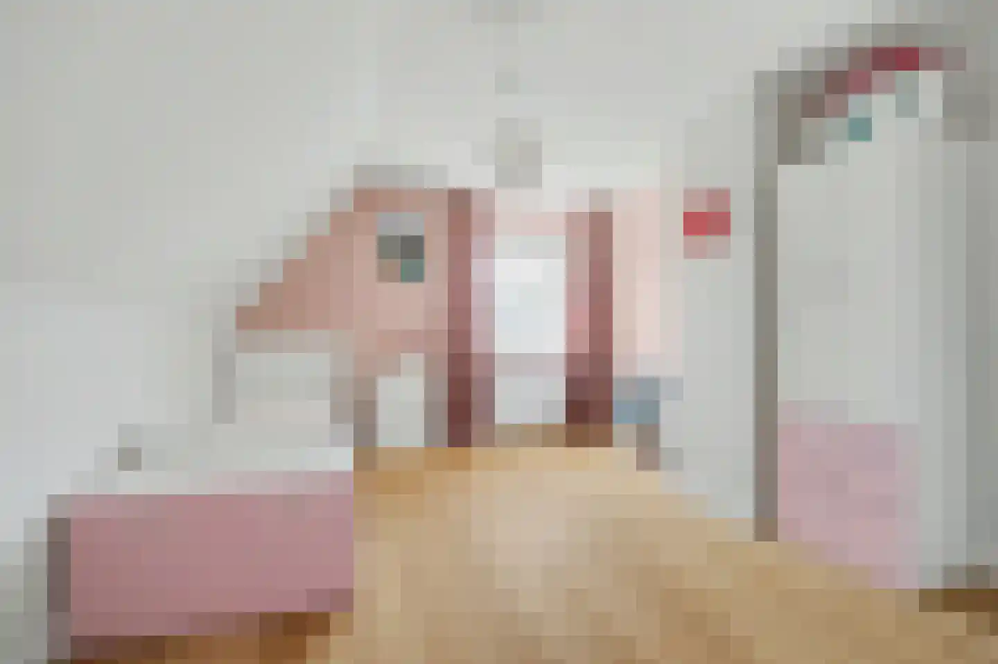 de Jongestraat 14 's-Heerenhoek thumbnail 21