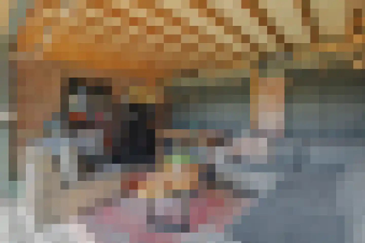 de Jongestraat 14 's-Heerenhoek thumbnail 30