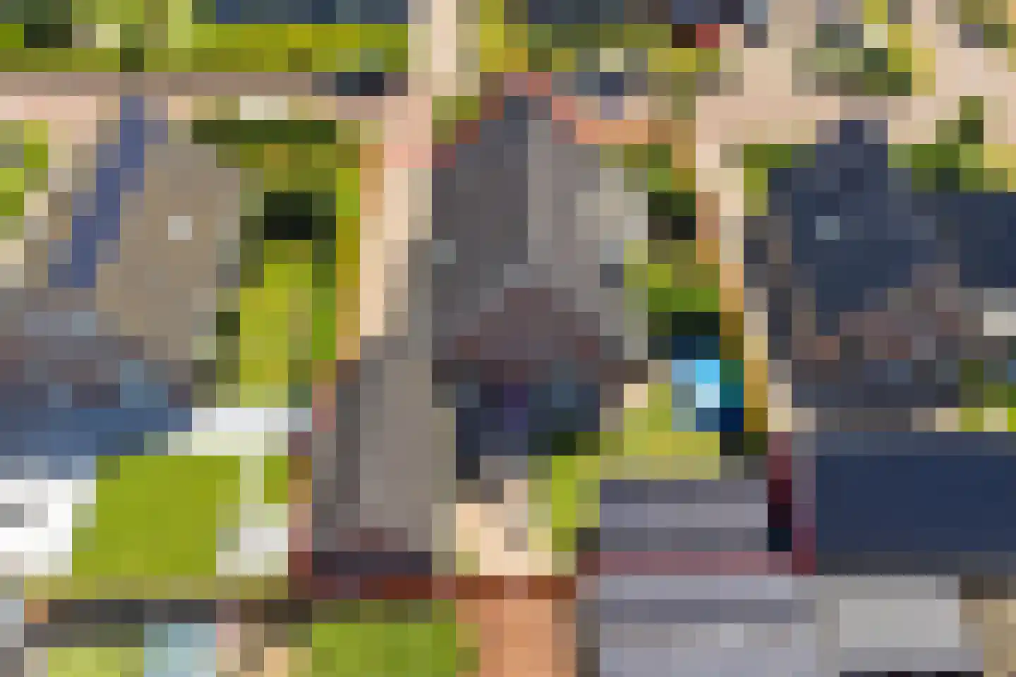 de Jongestraat 14 's-Heerenhoek thumbnail 34