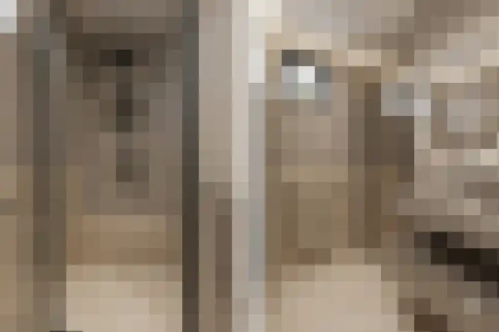 de Jongestraat 20 Best thumbnail 12