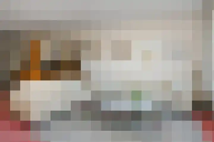 de Jongestraat 20 Best thumbnail 14