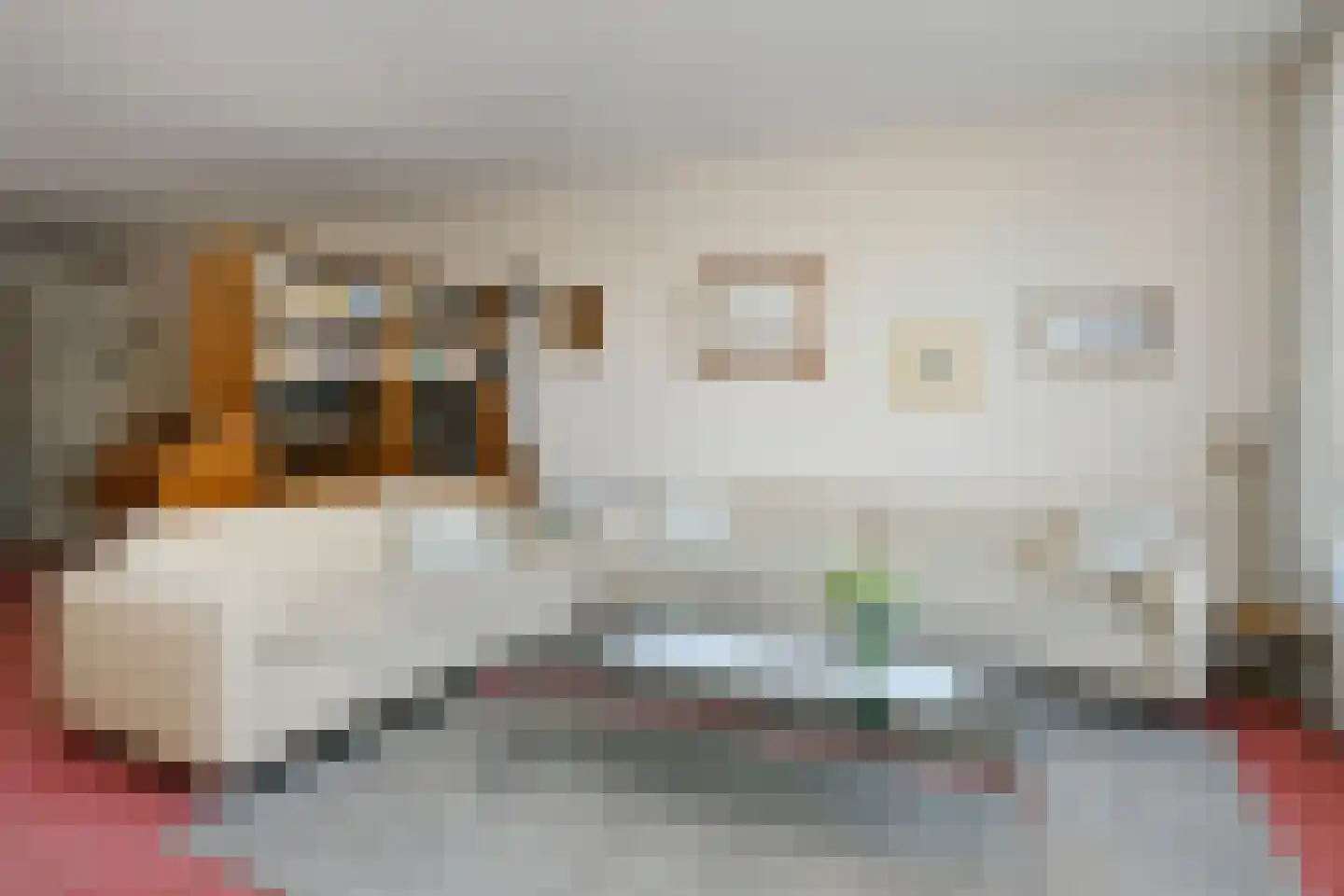 de Jongestraat 20 Best thumbnail 15