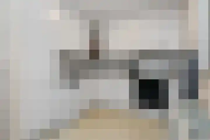 de Jongestraat 20 Best thumbnail 16