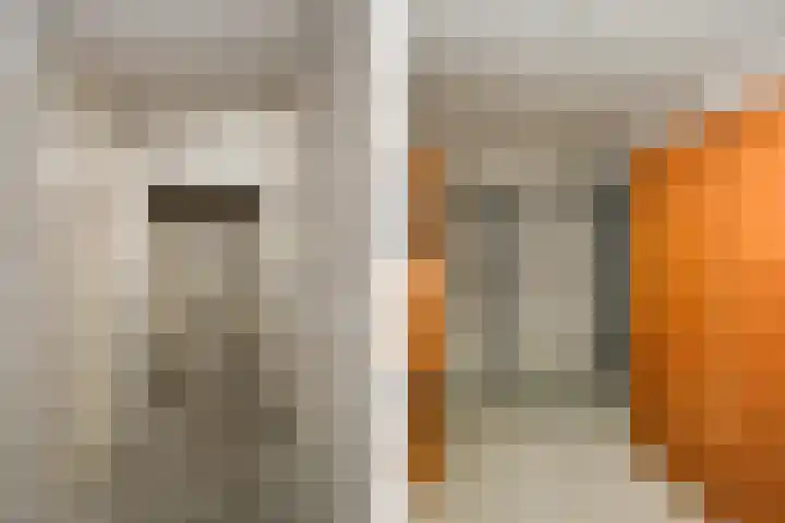 de Jongestraat 20 Best thumbnail 18