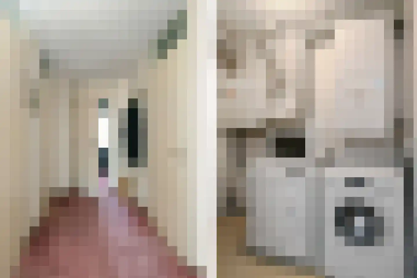 de Jongestraat 20 Best thumbnail 8