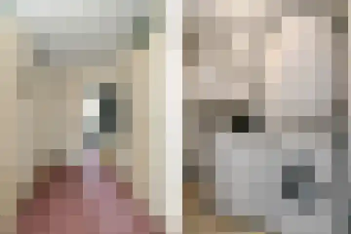de Jongestraat 20 Best thumbnail 8