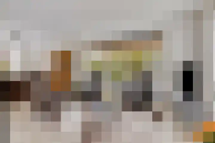 de Jongestraat 4 's-Heerenhoek thumbnail 10