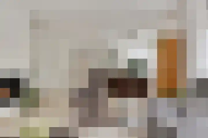 de Jongestraat 4 's-Heerenhoek thumbnail 11