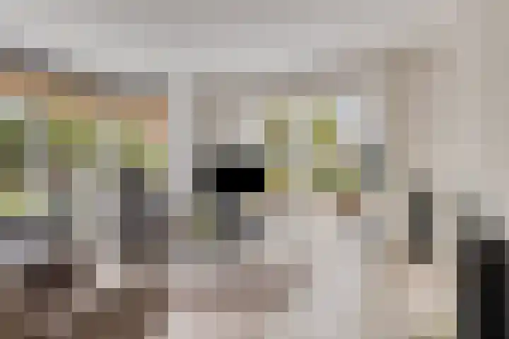 de Jongestraat 4 's-Heerenhoek thumbnail 13