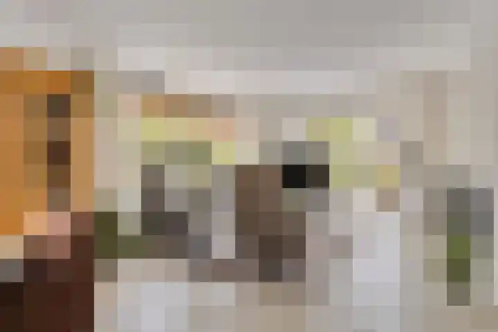 de Jongestraat 4 's-Heerenhoek thumbnail 14