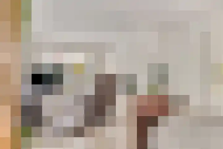 de Jongestraat 4 's-Heerenhoek thumbnail 15