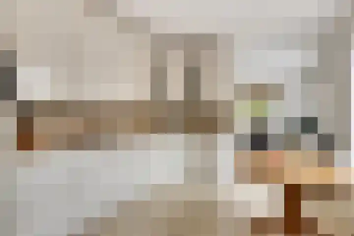 de Jongestraat 4 's-Heerenhoek thumbnail 24