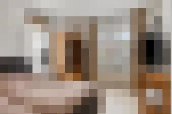 de Jongestraat 4 's-Heerenhoek thumbnail 26