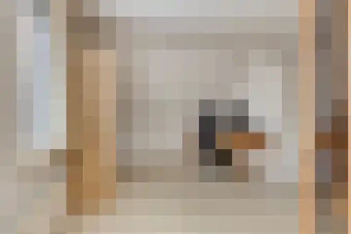 de Jongestraat 4 's-Heerenhoek thumbnail 37