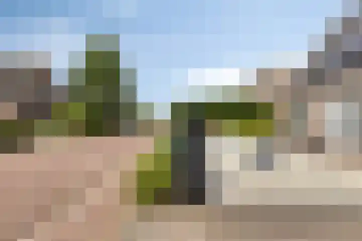de Jongestraat 4 's-Heerenhoek thumbnail 4