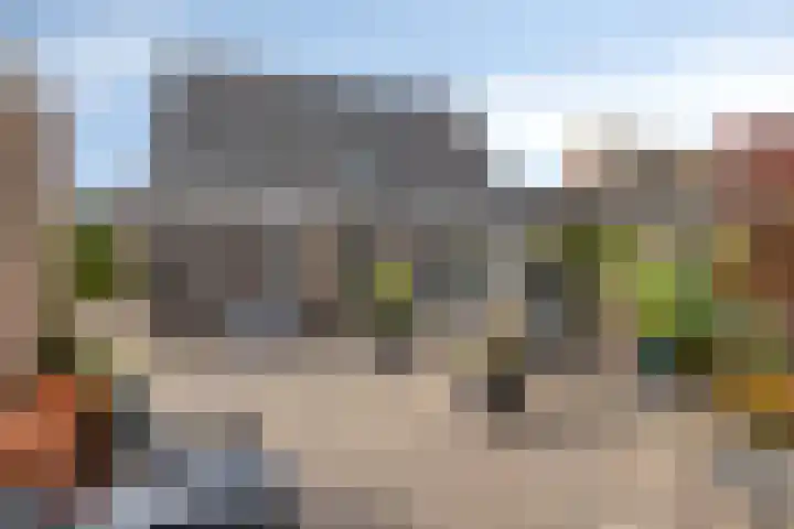 de Jongestraat 4 's-Heerenhoek thumbnail 46