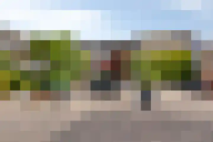de Jongestraat 4 's-Heerenhoek thumbnail 47