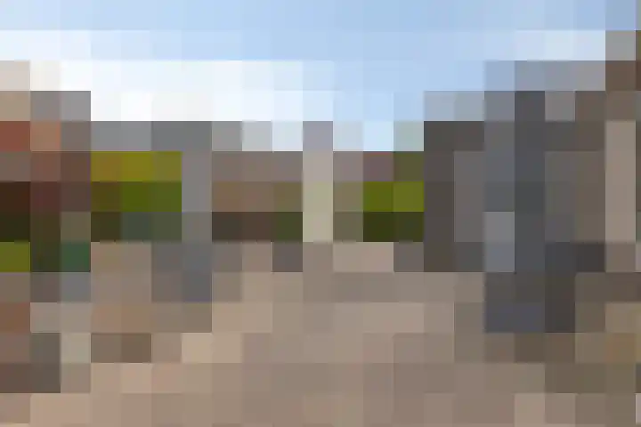 de Jongestraat 4 's-Heerenhoek thumbnail 48