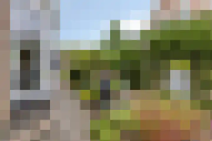 de Jongestraat 4 's-Heerenhoek thumbnail 49