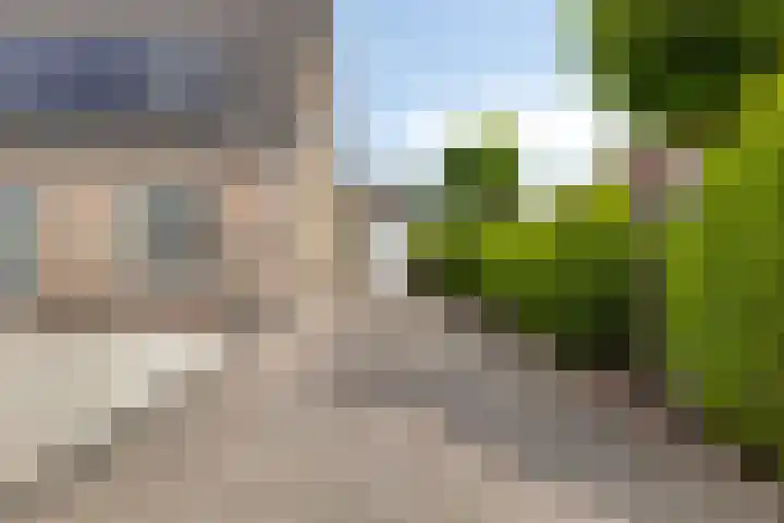 de Jongestraat 4 's-Heerenhoek thumbnail 5