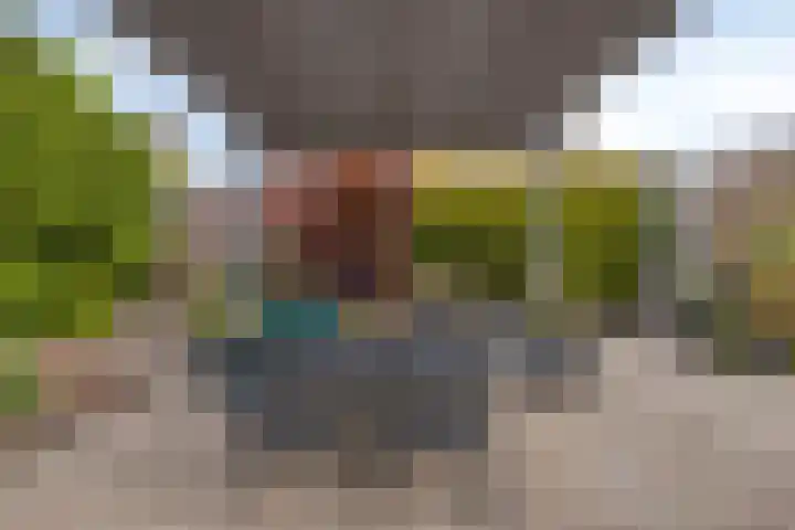 de Jongestraat 4 's-Heerenhoek thumbnail 50