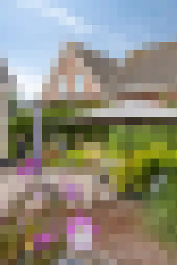 de Jongestraat 4 's-Heerenhoek thumbnail 52