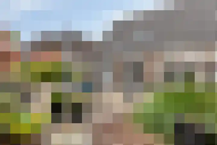 de Jongestraat 4 's-Heerenhoek thumbnail 53