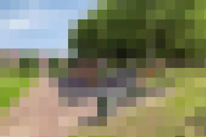 de Jongestraat 4 's-Heerenhoek thumbnail 55