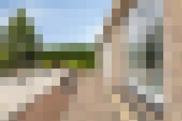 de Jongestraat 4 's-Heerenhoek thumbnail 6
