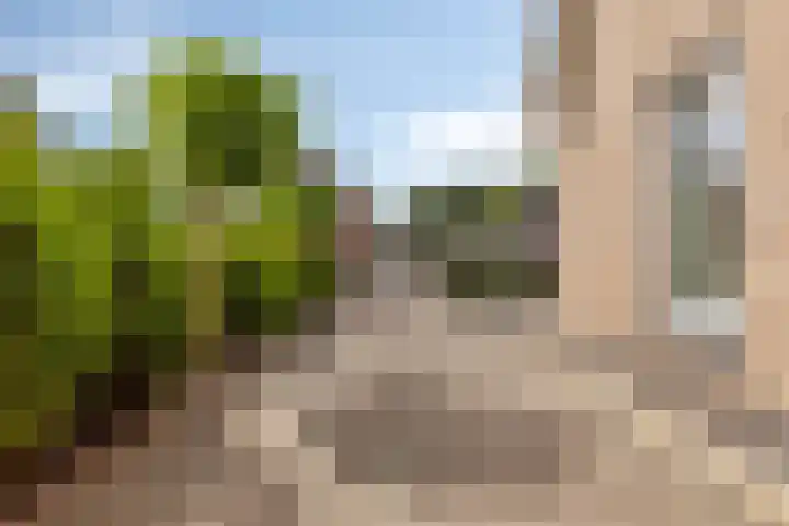 de Jongestraat 4 's-Heerenhoek thumbnail 7