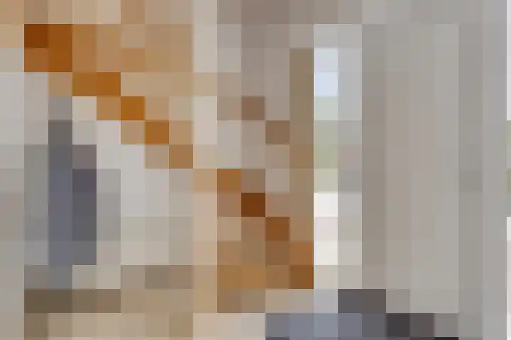de Jongestraat 4 's-Heerenhoek thumbnail 8