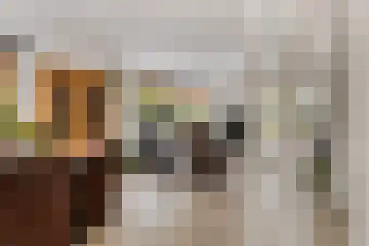 de Jongestraat 4 's-Heerenhoek thumbnail 9