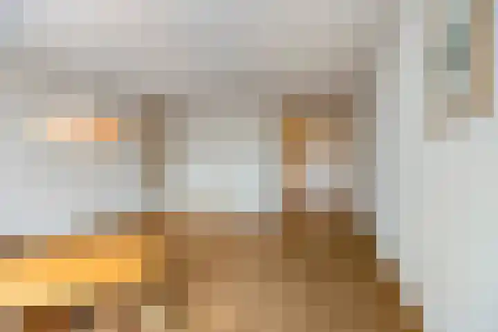 de Jongestraat 42 Best thumbnail 10