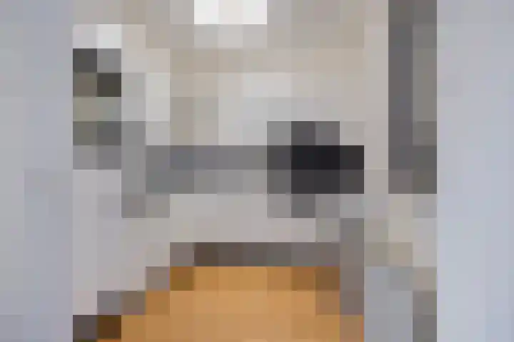 de Jongestraat 42 Best thumbnail 11