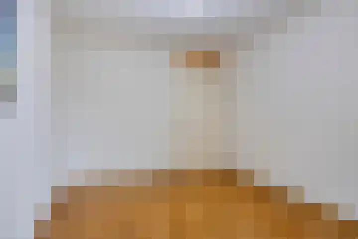 de Jongestraat 42 Best thumbnail 13