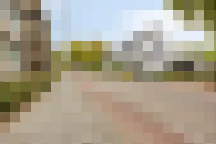 de Jongestraat 42 Best thumbnail 25