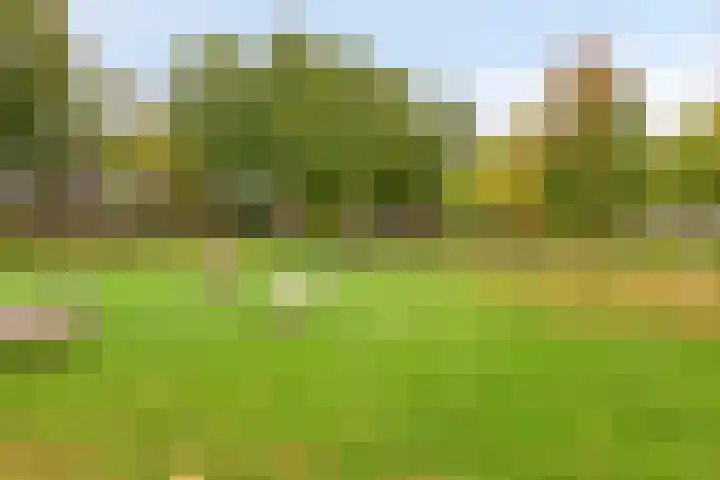 de Jongestraat 42 Best thumbnail 26