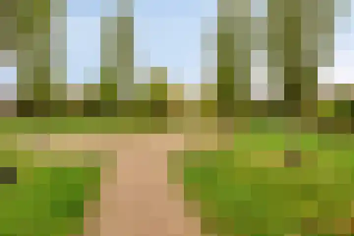 de Jongestraat 42 Best thumbnail 27