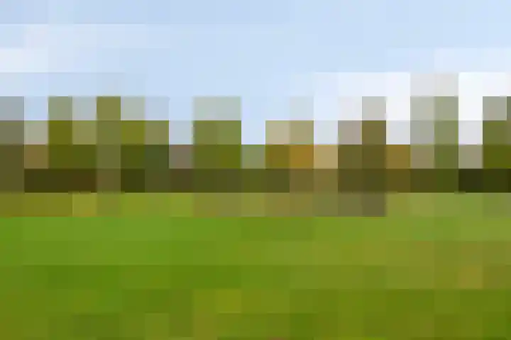 de Jongestraat 42 Best thumbnail 28
