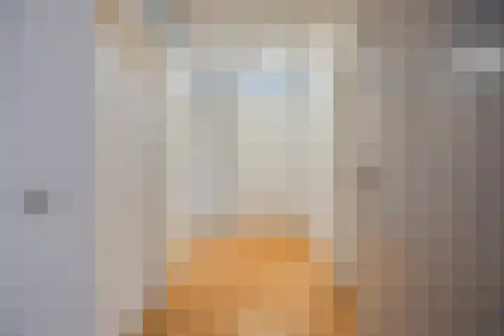 de Jongestraat 42 Best thumbnail 5