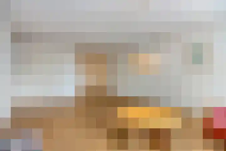 de Jongestraat 42 Best thumbnail 9