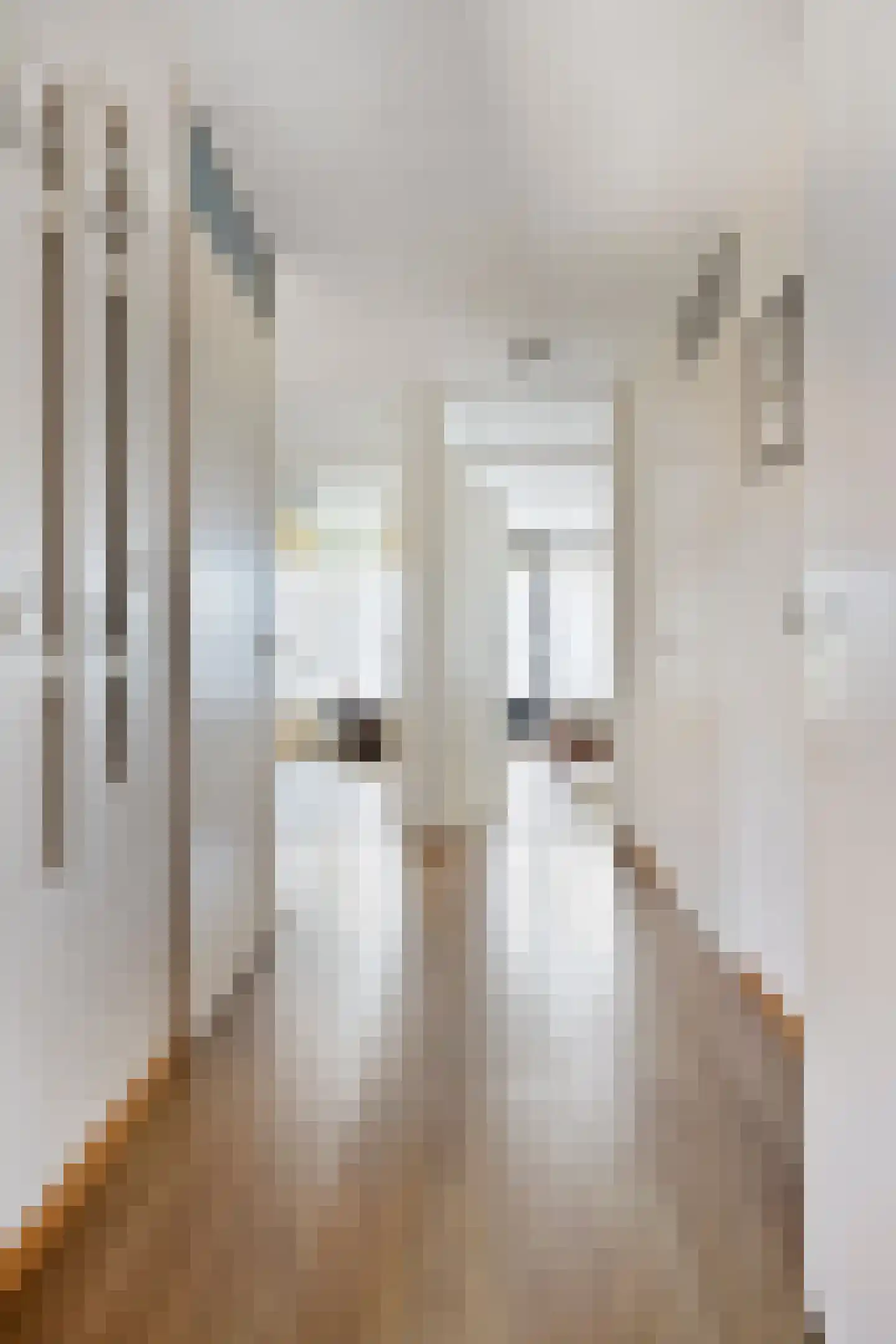 de Jongestraat 46 Best thumbnail 11