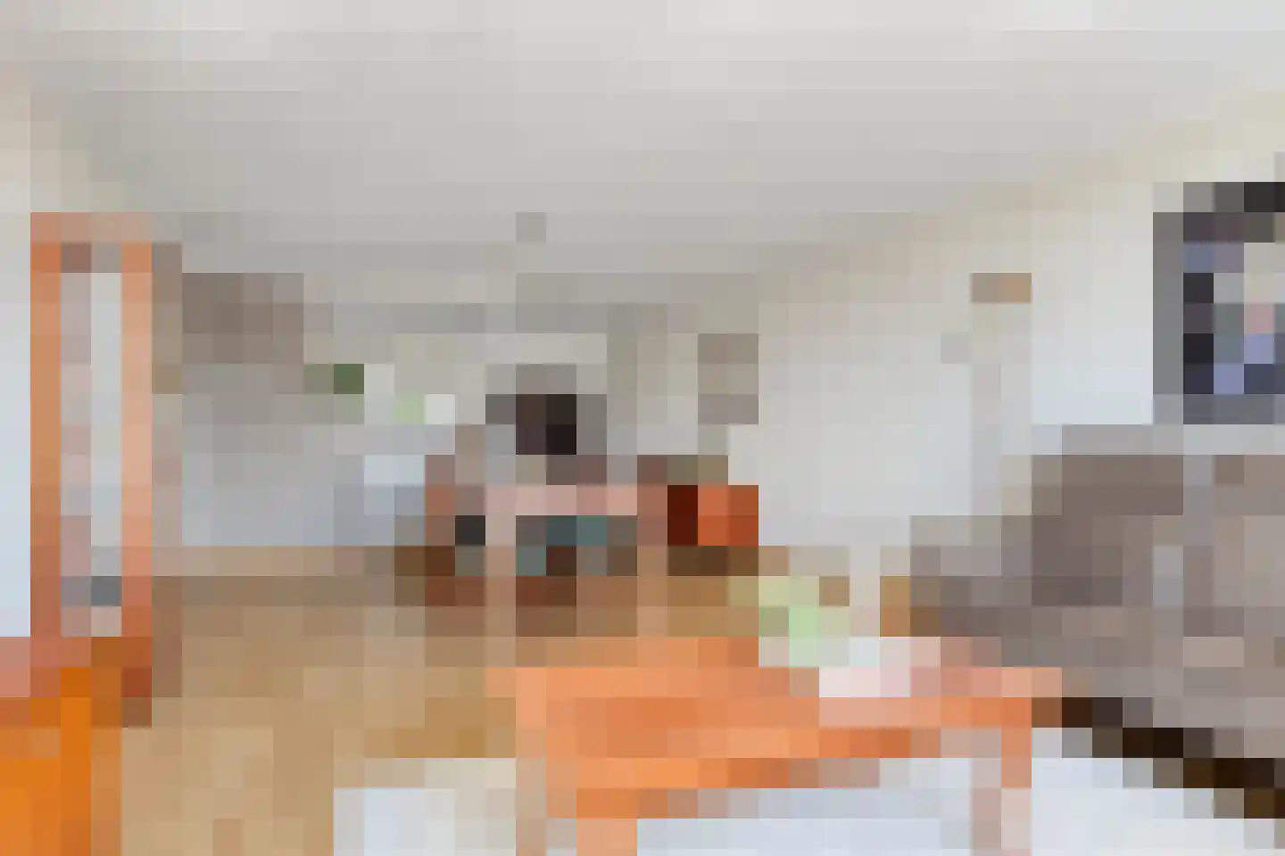 de Jongestraat 46 Best thumbnail 16
